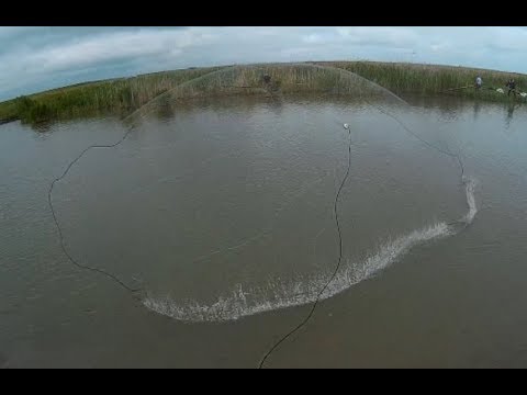 Видео: Рыбалка на кастинговые сети 6м и 4м Американка VS Испанка