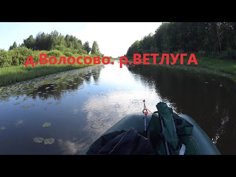 Видео: Волосово.Ветлуга.Рыбалка на кольцо.Утопили садок с щуками, потеряли якорь. Рыбалка не по плану.