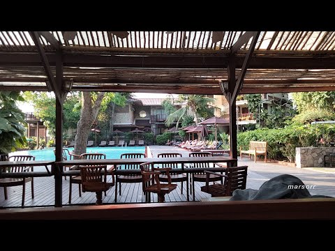 Видео: просто кафешка cabbages&condoms ч.4 двор, уютный уголок