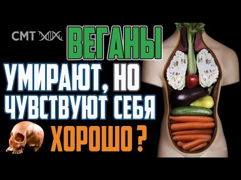 Видео: Сыроеды. Почему они чувствуют себя хорошо? Неизданное