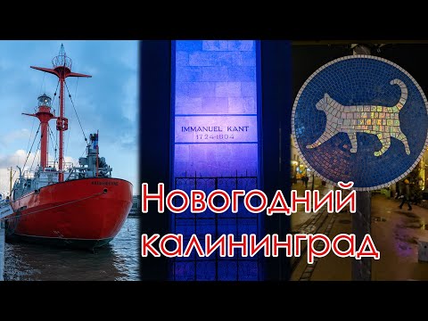 Видео: В Калининград на новогодние выходные