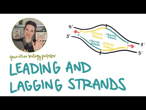 Видео: Ведущие и отстающие нити — в чём разница? Обозначьте ведущие и отстающие нити!
