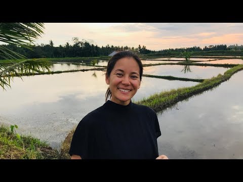 Видео: ОТВЕЧАЮ НА ВАШИ ВОПРОСЫ