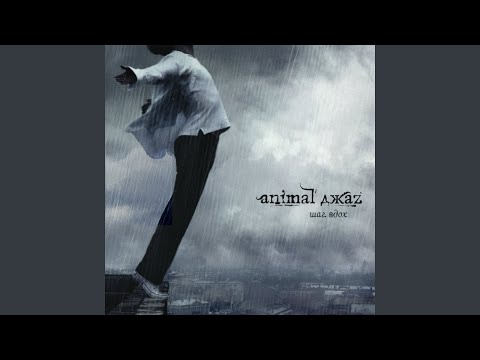 Видео: Можешь лететь