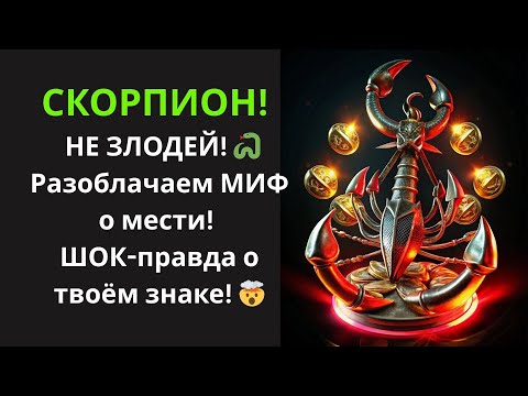 Видео: 🦂Скорпион, К КАКОМУ типу относитесь ВЫ? И как это влияет на вашу жизнь!