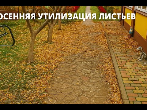 Видео: Как превратить осенние листья в пользу для сада