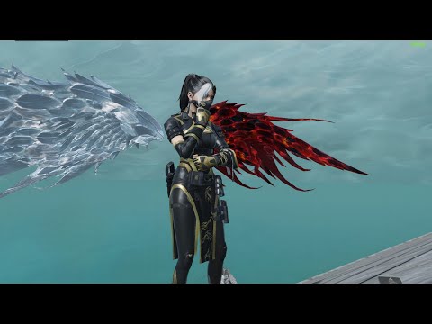 Видео: шоу продолжается