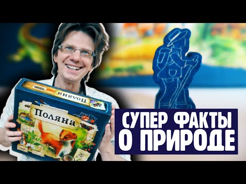 Видео: настольная игра "ПОЛЯНА" 🌾 Одиночный режим 🌾 Как выиграть у Бродяги и стать Легендой!