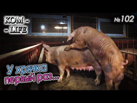 Видео: ПРОШЁЛ ПЕРВОЕ БОЕВОЕ КРЕЩЕНИЕ