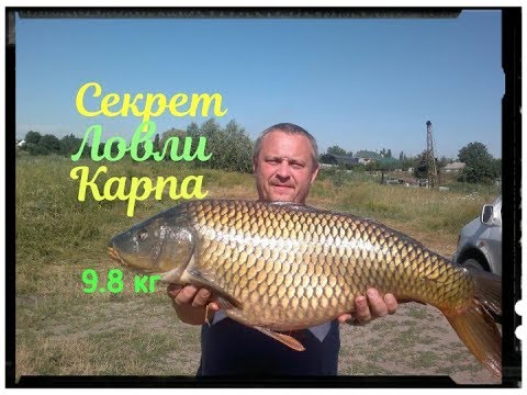 Видео: СЕКРЕТ  ловли КАРПА .ЖМЫХ(макуха)