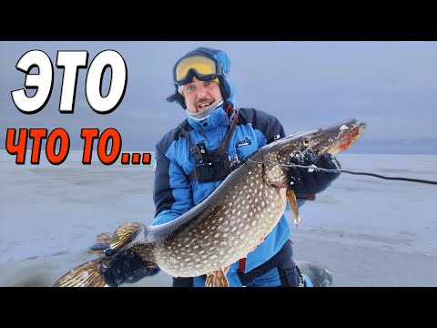 Видео: Как поймать ЩУКУ МОНСТРА? Моя история. Это что то..