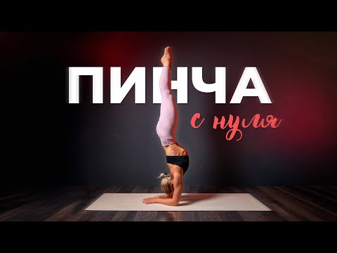 Видео: Стойка на предплечьях с нуля: Полный гид для новичков (Пинча Маюрасана)