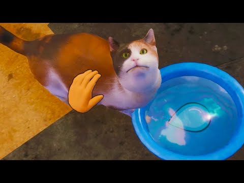 Видео: Приют Пурумчата #7 Animal Shelter имена - Милс Кел, Dariya Rain, Елена Райтман, Mamics, компот