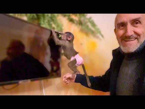 Видео: Пока меня нет Влад учит Люську  ВКЛЮЧАТЬ ТЕЛЕВИЗОР! Скоро разломают дом в конец!