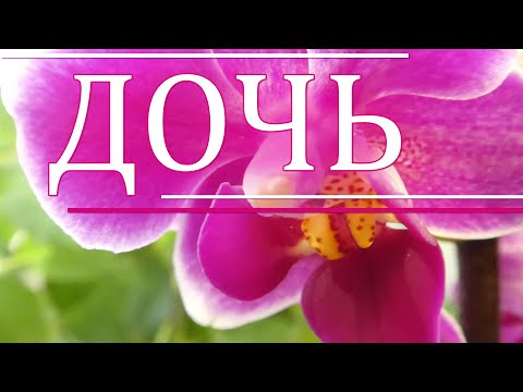 Видео: Взрослая дочь. (стихи для тебя…)