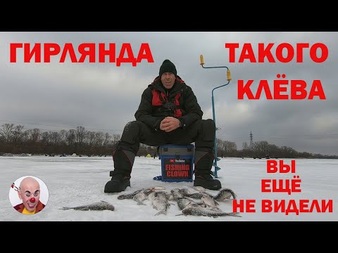 Видео: БЕШЕНЫЙ КЛЁВ ПЛОТВЫ НА СНАСТЬ "ГИРЛЯНДА"!!!!!