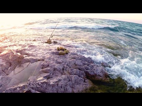 Видео: Экстремальная рыбалка на Капчагае! Ловля хищника ночью на скалах