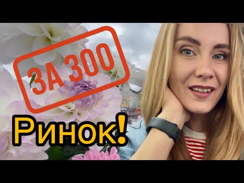 Видео: ЗА 300 гривень!Купую у бабусь!