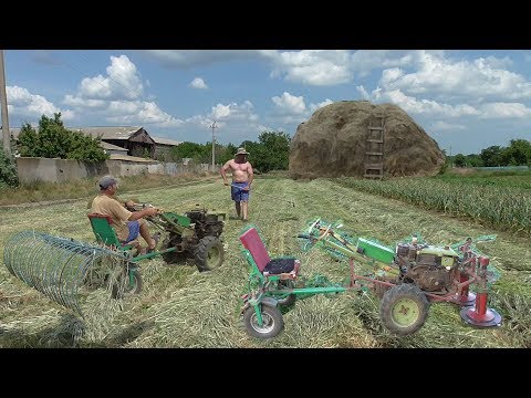 Видео: Заготовить сено мотоблоком -ЛЕГКО!