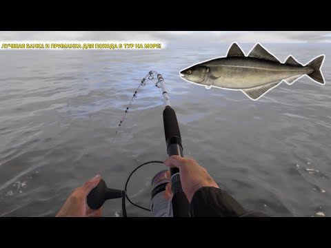 Видео: ЛУЧШАЯ БАНКА И ПРИМАНКА ДЛЯ ПОХОДА В ТУР НА МОРЕ! ОТБИЛ ПОЧТИ ПОЛОВИНУ ТУРА ЗА ЧАС!