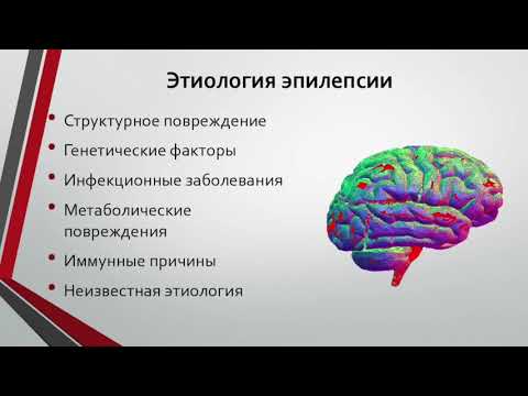 Видео: К.Б. Манышева "Эпилепсия и пароксизмальные состояния"