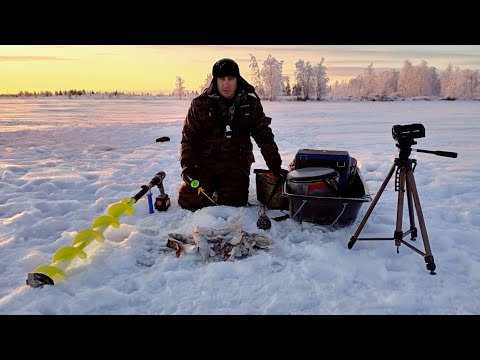 Видео: Вот это горбачей мы нашли!!! Окунь на червя ,Щука на Гольяна.зимняя рыбалка 2021 - 2022 года.