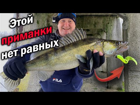 Видео: Гигантский трофей на ультралайт