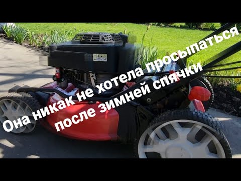 Видео: Ремонт газонокосилки MTD, остановка двигателя при нагрузке. ТО газонокосилки, весна 2023г.