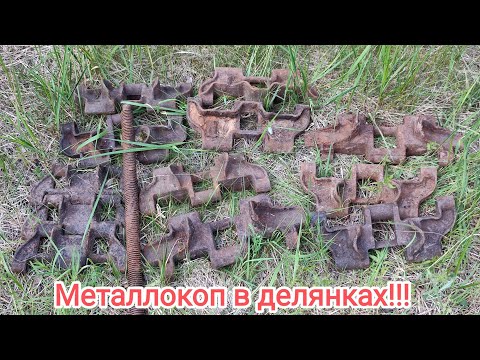 Видео: Поиск металла в старых лесных делянках!