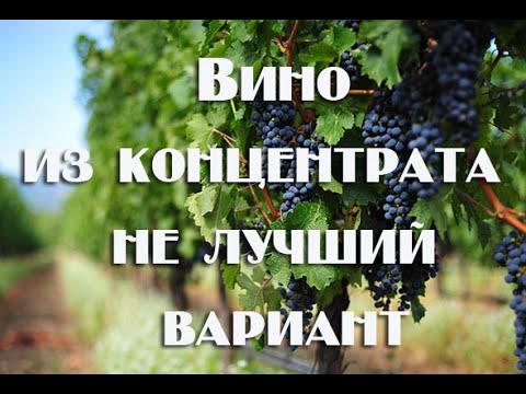 Видео: Не удачная попытка приготовления красного вина из концентрата виноградного сока .