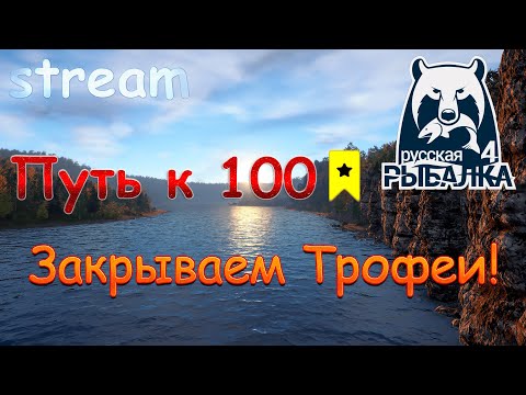 Видео: Путь к 100 звездам. Розыгрыши каждые 20 минут. Крутим рулетку.  Русская рыбалка 4.
