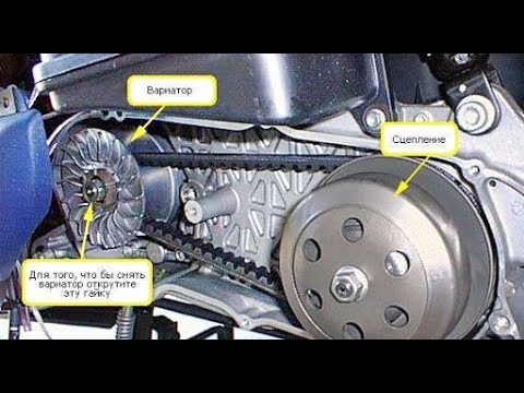 Видео: Замена ремня на Скутере