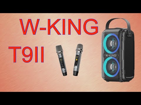Видео: Обзор Колонки W-King T9II