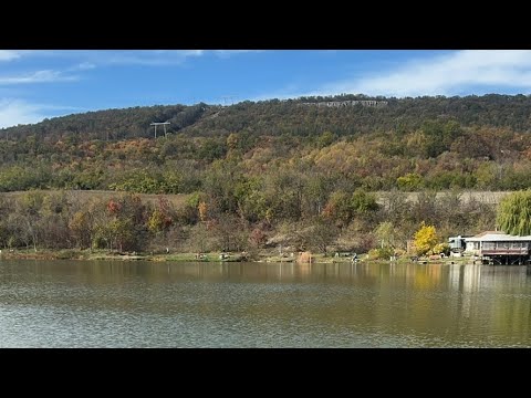 Видео: Риболов на шарани с директен телескоп 🎣