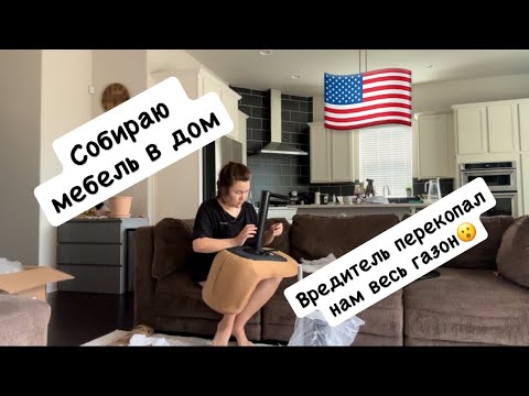 Видео: VLOG 43: ДОМ В США, СОБИРАЮ МЕБЕЛЬ! ПОВАДИЛСЯ ВРЕДИТЕЛЬ ГАЗОНОВ, НИ ЗА Ч ТО НЕ ДОГАДАЕТЕСЬ КТО ЭТО! 