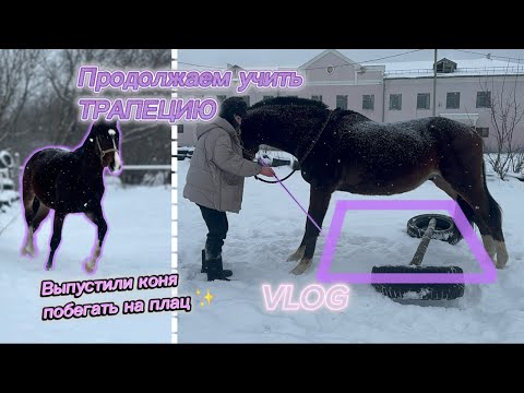 Видео: Учим ТРАПЕЦИЮ | Vlog
