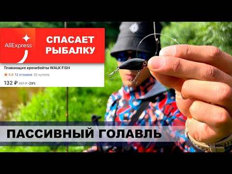 Видео: Рыбалка на голавля. Воблер за 100р с AliExpress.