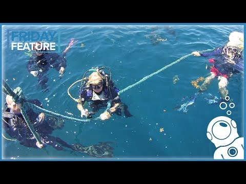 Видео: Какое снаряжение следует брать с собой путешествующему дайверу?