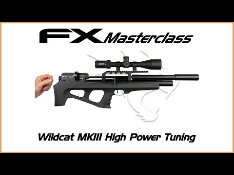 Видео: FX Wildcat MKIII High Power Tuning — пневматическое оружие FX