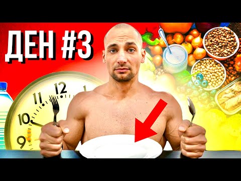Видео: 72 ЧАСА БЕЗ ХРАНА