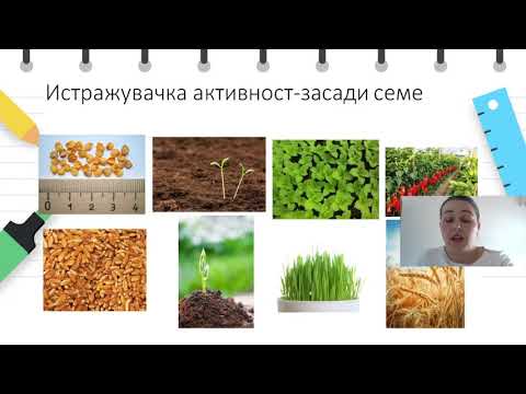 Видео: I одделение - Природни науки - Одгледување на растенија