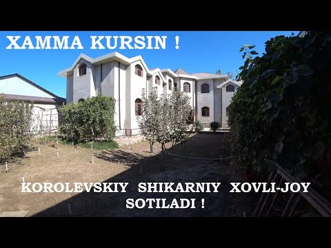 Видео: Хамма Курсин! Хаммага Насиб Килсин!Шунака Ховли-Жой Сотилади#хоразм_уй_жой_нархлари2025#villa#home