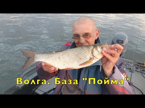 Видео: Рыбалка на ВОЛГЕ. Часть 1. Слом погоды.