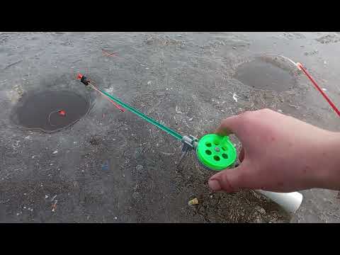 Видео: 29 октября 2025 г.