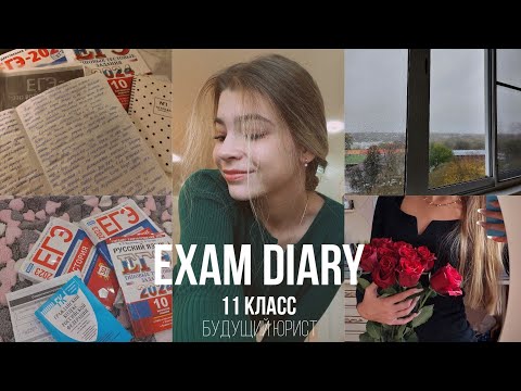 Видео: exam diary: будни в 11 классе, мои мысли, подготовка к ЕГЭ по рус, ист и общ, сдача ГТО на золото