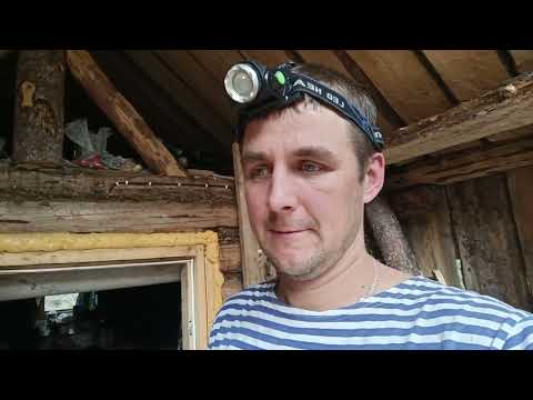 Видео: к избе с маленьким помощником ,цементирование,сбор груздей