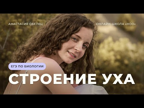 Видео: строение уха | ЕГЭ по биологии 2023