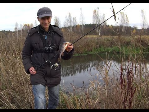 Видео: Рибалка на спінінг🎣 на річці Уж.🐍  як чудово клює ОКУНЬ на микро джиг.🐟🐟🐟