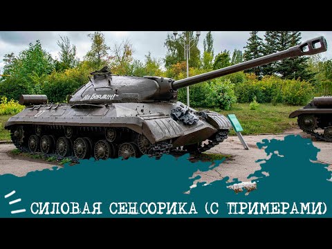 Видео: СИЛОВАЯ СЕНСОРИКА (с примерами)