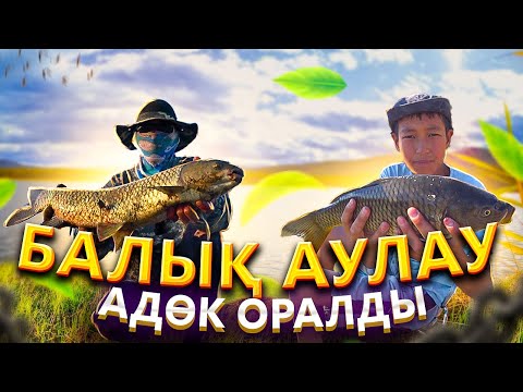 Видео: Адөкпен бірге БАЛЫҚ АУЛАУ. Трофей балықтар